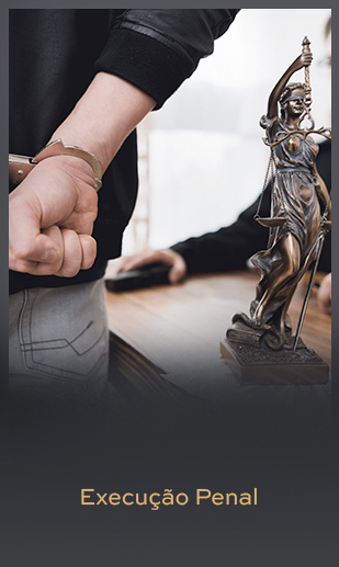 areas-atuacao-violencia-execucao-penal.jpg